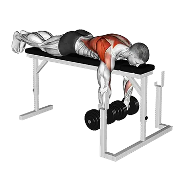 Dumbbell Lying Wide-Grip Row on Rack