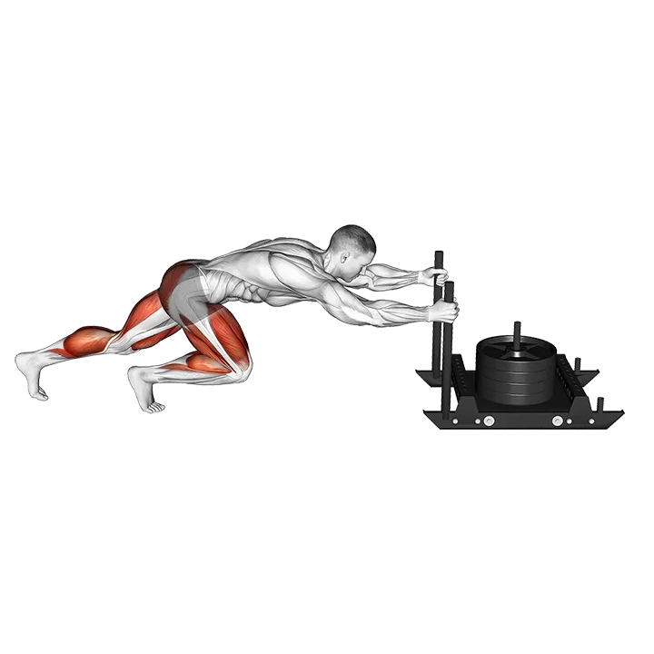 Power Sled Push exercise animation (Male)