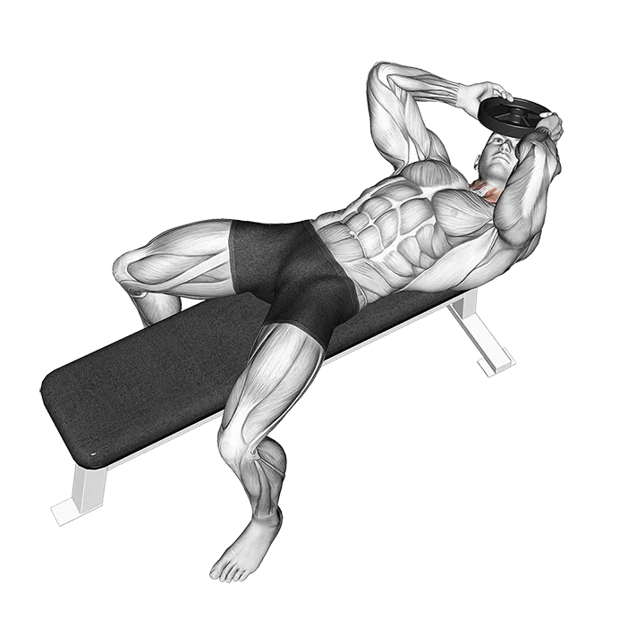 Weighted Lying Neck Side to Side exercise animation (Male)