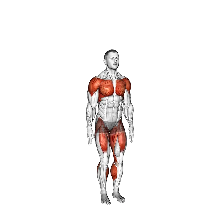 Jack Step exercise animation (Male)