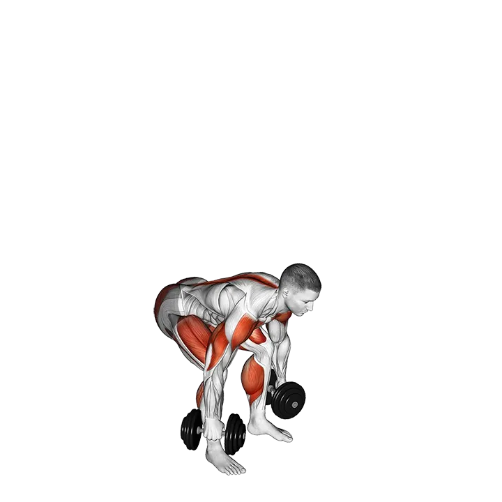 Dumbbell Power Clean and Jerk exercise animation (Male)