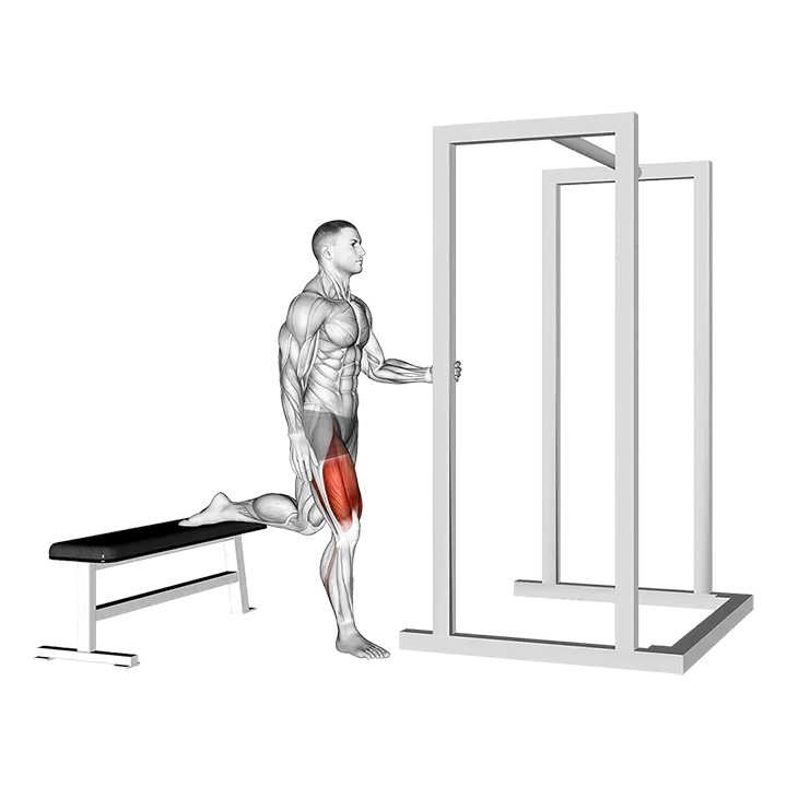 Assisted Bulgarian Split Squat exercise animation (Male)