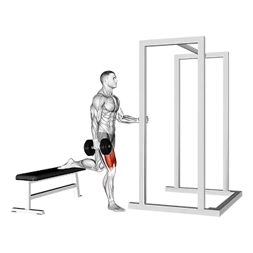 Dumbbell Assisted Bulgarian Split Squat