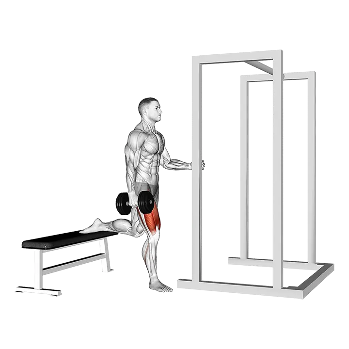 Dumbbell Assisted Bulgarian Split Squat exercise animation (Male)
