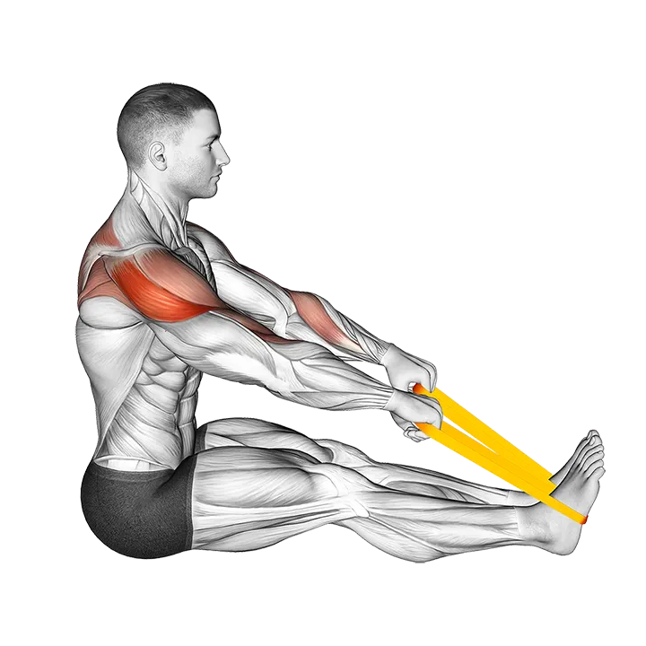 Resistance Band Seated Face Pull exercise animation (Male)
