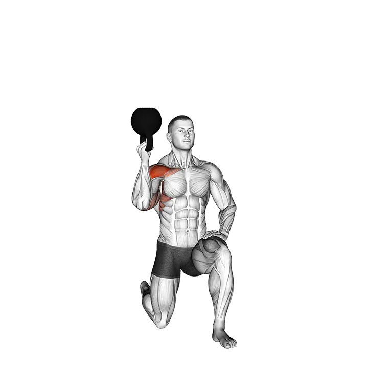 Kettlebell Half Kneeling One Arm Bottoms-Up Press exercise animation (Male)