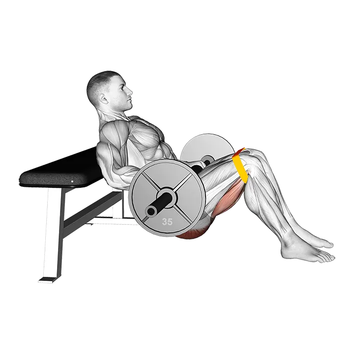 Barbell Resistance Band Hip Thrust exercise animation (Male)