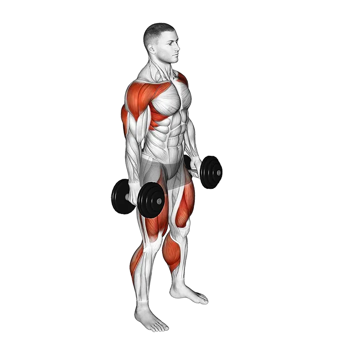 Dumbbell Hang Clean exercise animation (Male)