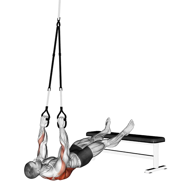 Suspender Wide Grip Inverted Row exercise animation (Male)