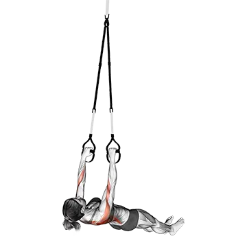Suspender Wide Grip Inverted Row on floor