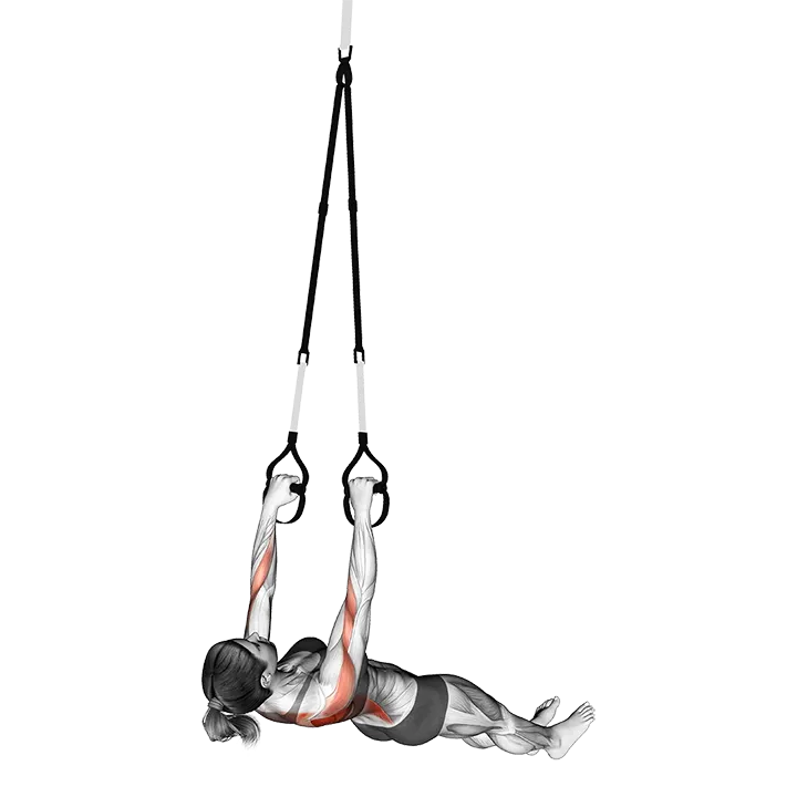 Suspender Wide Grip Inverted Row on floor exercise animation (Female)