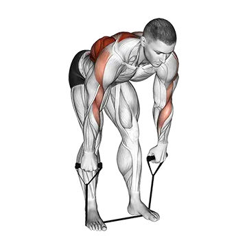 Band Bent Over Wide Grip Row