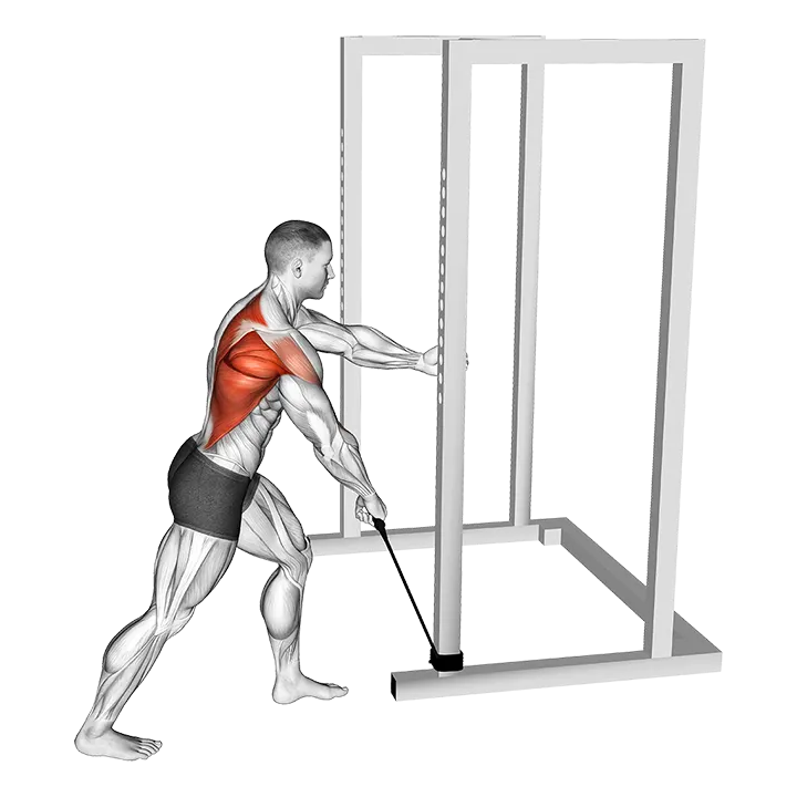 Band One Arm Standing Wide Grip Low Row exercise animation (Male)
