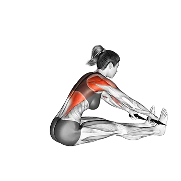 Band Seated Wide Grip Row