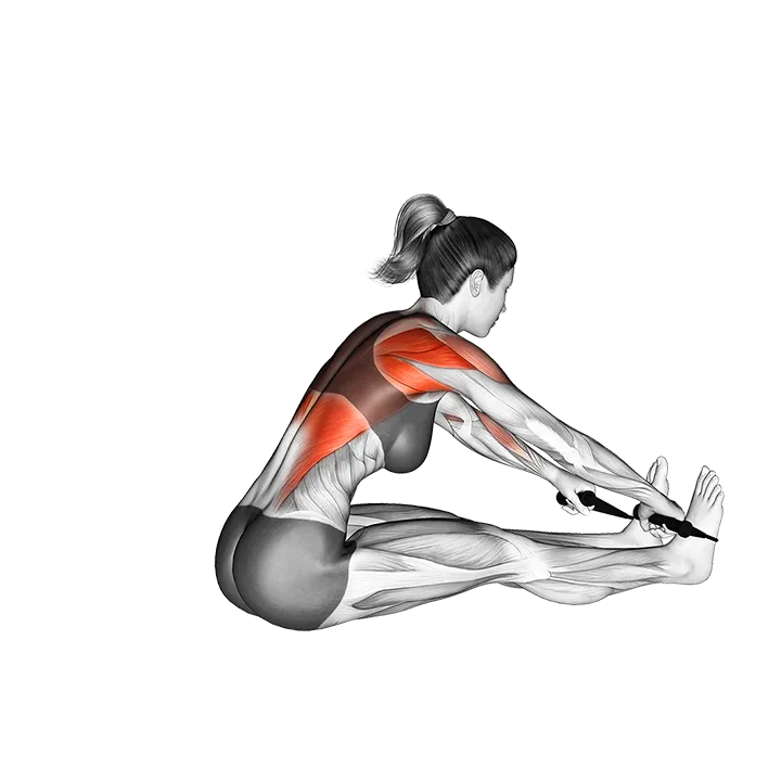 Band Seated Wide Grip Row exercise animation (Female)