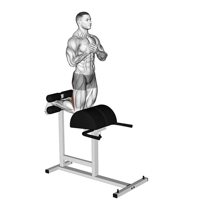 Glute Ham Raise (VERSION 2) exercise animation (Male)