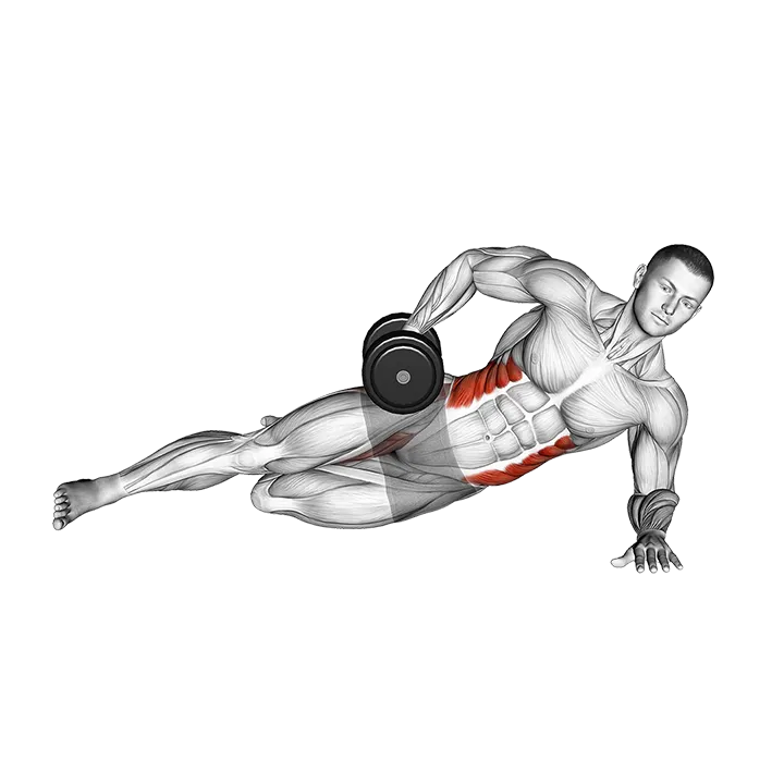 Dumbbell Side Bridge with Bent Leg exercise animation (Male)