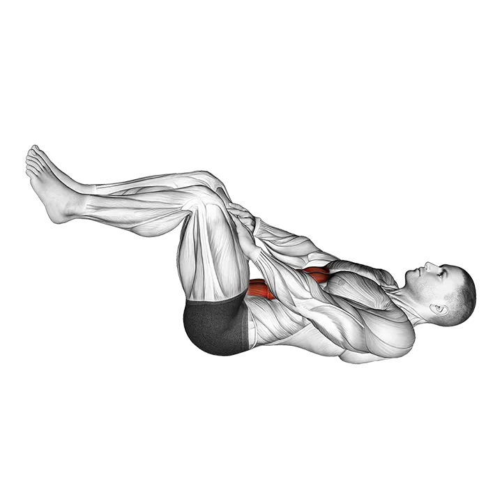 Lying Ab Press exercise animation (Male)