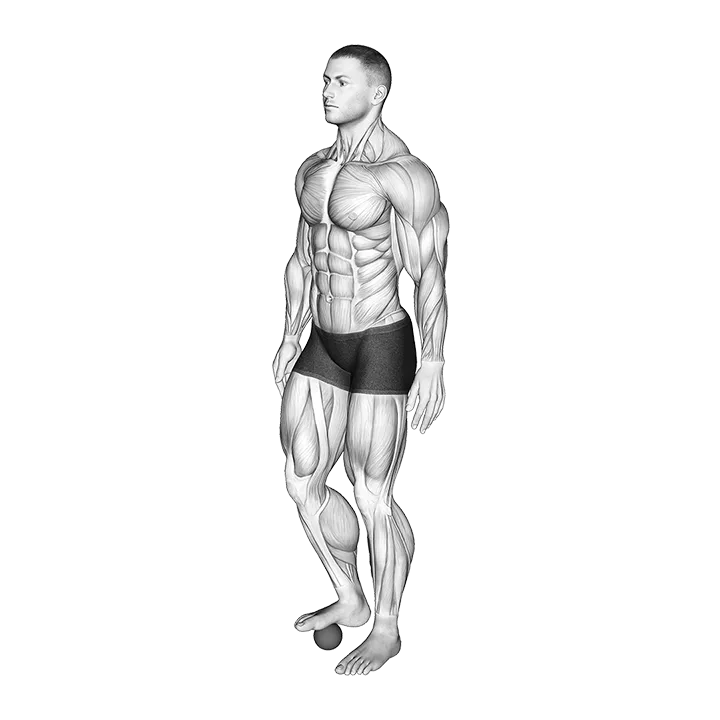 Roll Ball Foot exercise animation (Male)