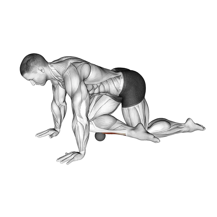 Roll Ball Tibialis Anterior exercise animation (Male)