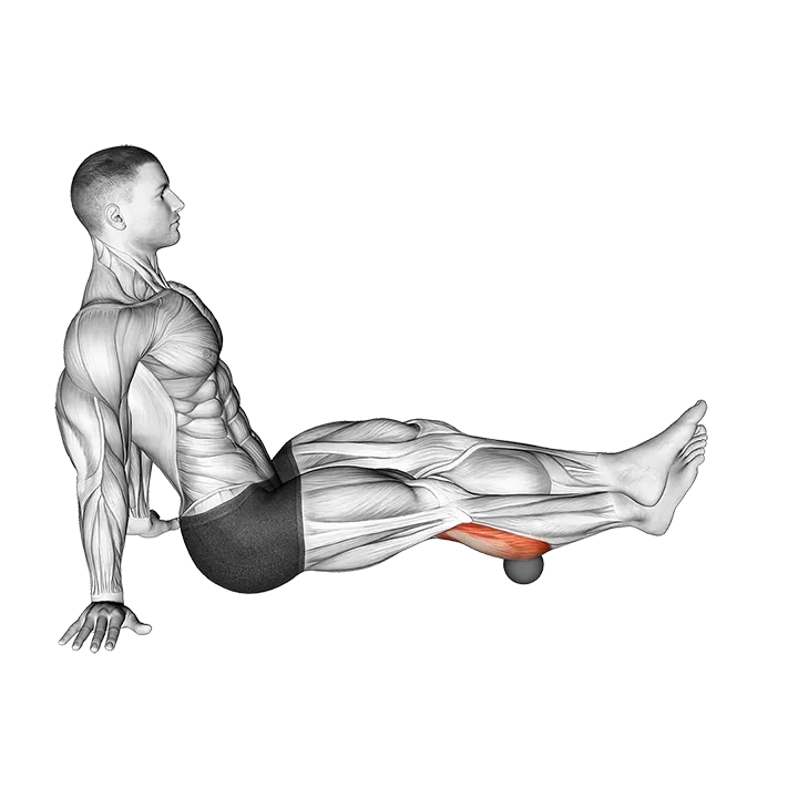 Roll Ball Calf exercise animation (Male)