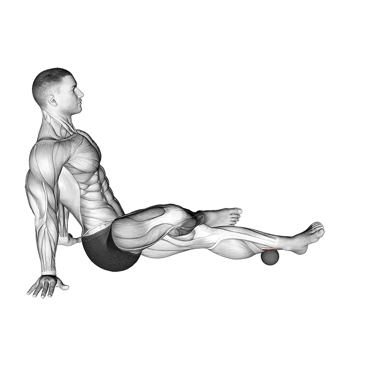 Roll Ball Tibialis Posterior exercise animation (Male)