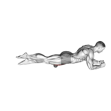 Roll Ball Rectus Femoris