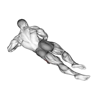 Roll Ball Lateral Vastus