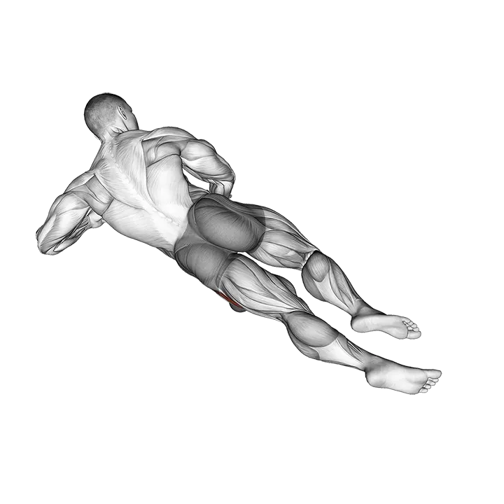 Roll Ball Lateral Vastus exercise animation (Male)