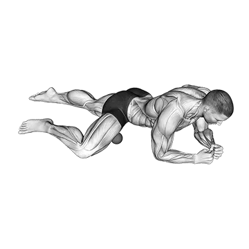 Roll Ball Adductors