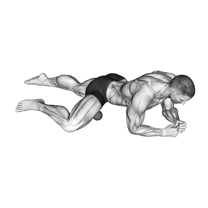 Roll Ball Adductors exercise animation (Männlich)
