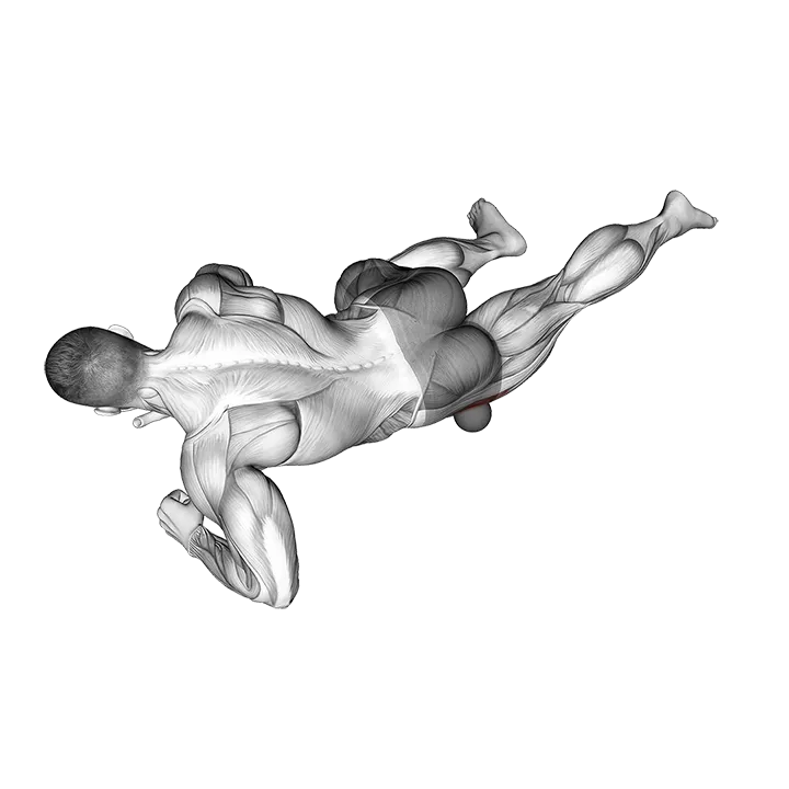 Roll Ball Tensor Fasciae Latae exercise animation (Male)