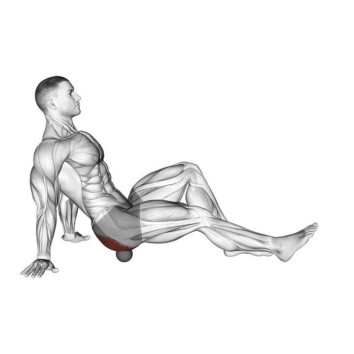 Roll Ball Piriformis exercise animation (Male)