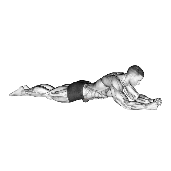 Roll Ball Psoas - Abdominal Region exercise animation (Männlich)