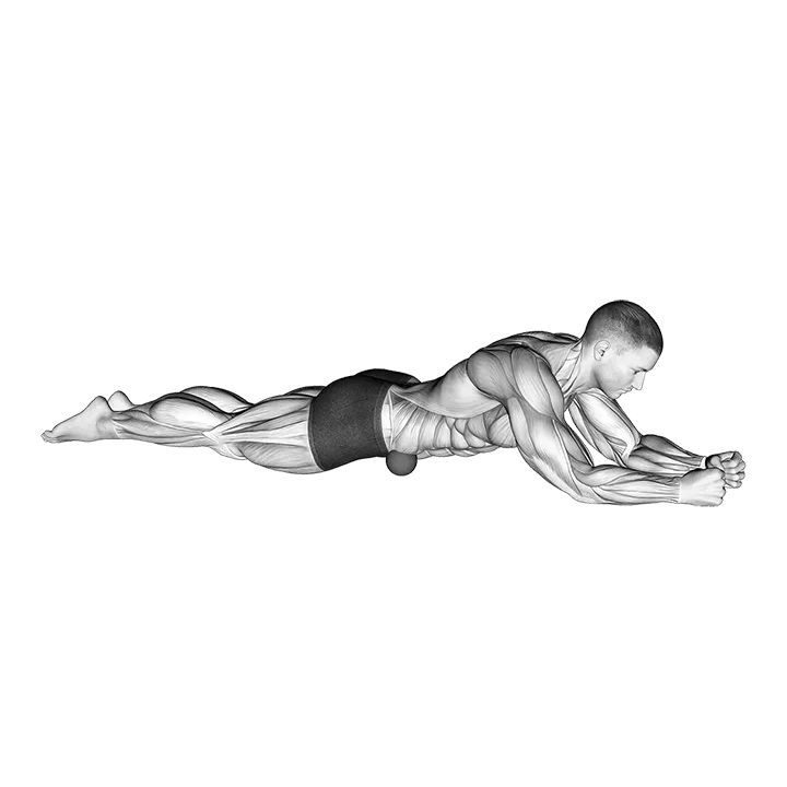 Roll Ball Iliacus - Abdominal Region exercise animation (Männlich)