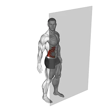 Roll Ball External Oblique
