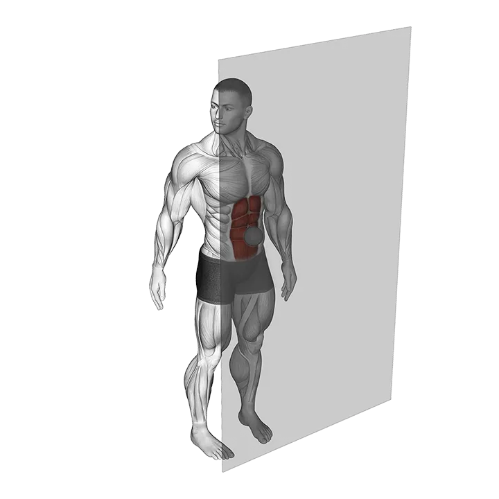 Roll Ball Rectus Abdominis exercise animation (Männlich)