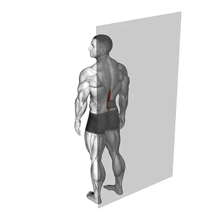 Roll Ball Erector Spinae exercise animation (Male)