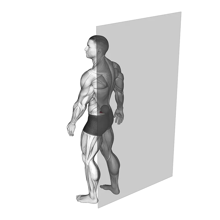Roll Ball Lumbar - Diagonal exercise animation (Männlich)