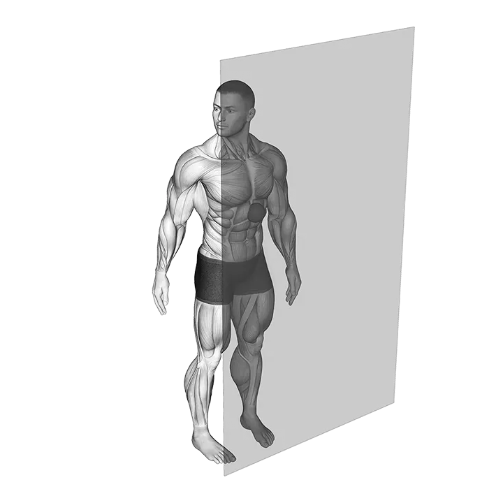 Roll Ball Diaphragm exercise animation (Male)