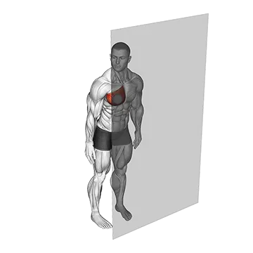Roll Ball Pectoralis Major - Sternal