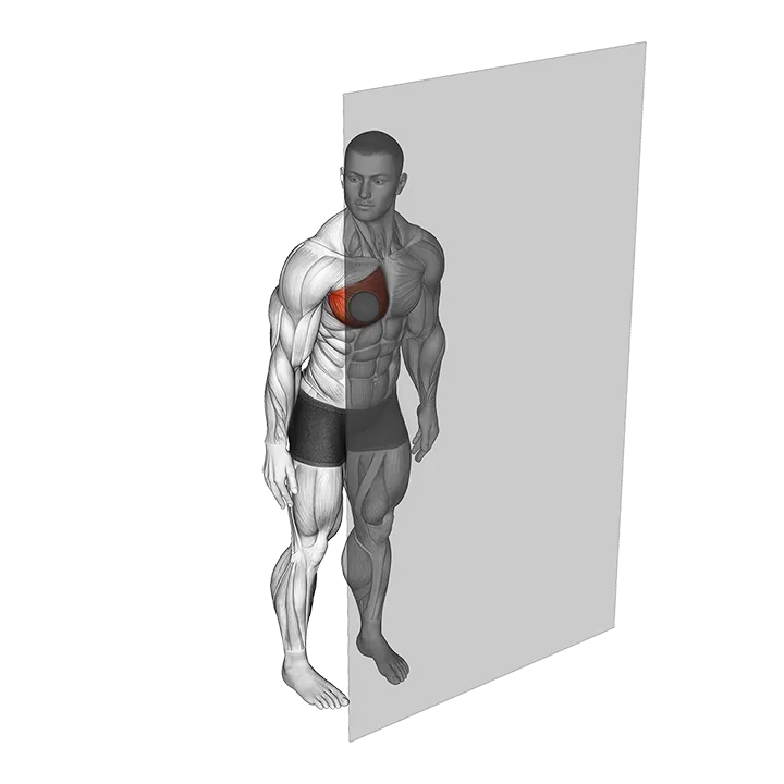 Roll Ball Pectoralis Major - Sternal exercise animation (Männlich)