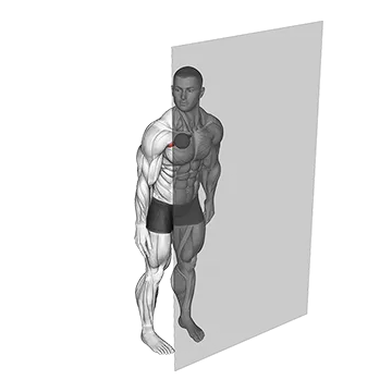 Roll Ball Pectoralis Major - Clavicular