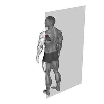 Roll Ball Infraspinatus