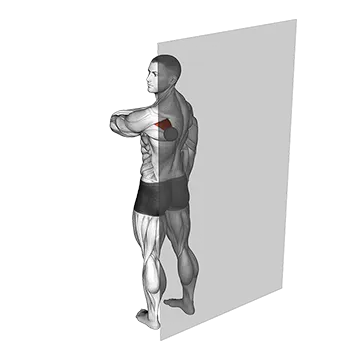 Roll Ball Infraspinatus (VERSION 2)
