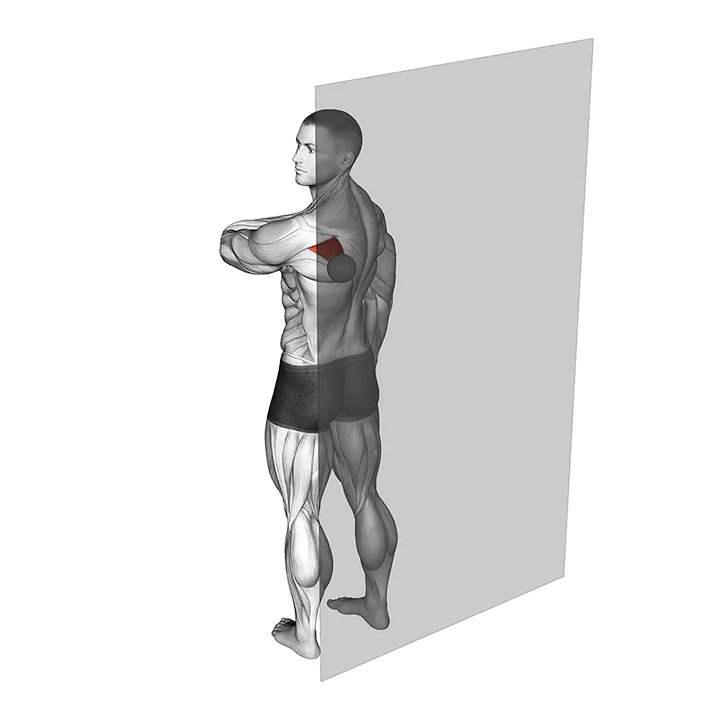 Roll Ball Infraspinatus (VERSION 2) exercise animation (Male)