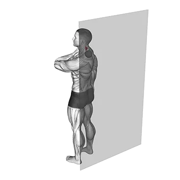 Roll Ball Scapula Levator (VERSION 2)