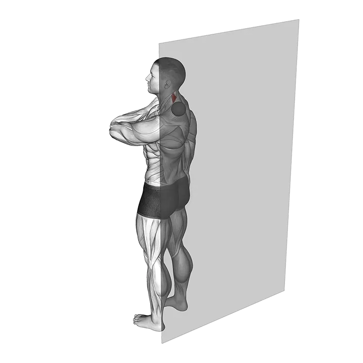 Roll Ball Scapula Levator (VERSION 2) exercise animation (Männlich)