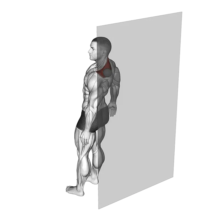 Roll Ball Trapezius Upper exercise animation (Male)