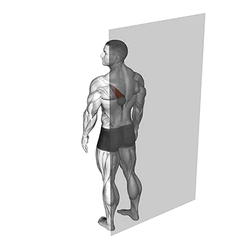 Roll Ball Trapezius Lower